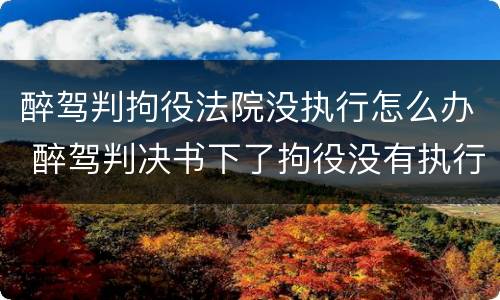 醉驾判拘役法院没执行怎么办 醉驾判决书下了拘役没有执行时间