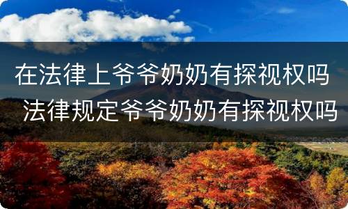 在法律上爷爷奶奶有探视权吗 法律规定爷爷奶奶有探视权吗