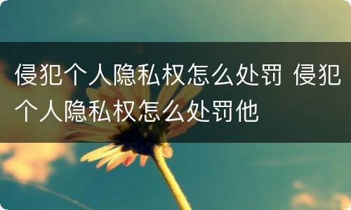 侵犯个人隐私权怎么处罚 侵犯个人隐私权怎么处罚他