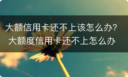 大额信用卡还不上该怎么办？ 大额度信用卡还不上怎么办