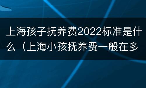 上海孩子抚养费2022标准是什么（上海小孩抚养费一般在多少2019）
