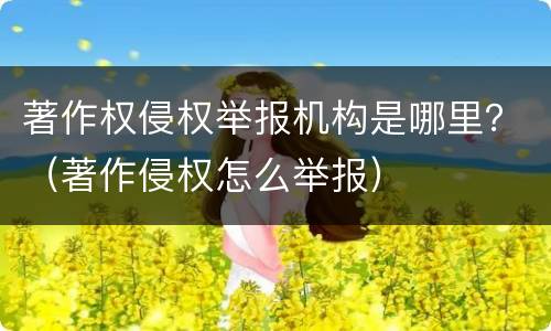 著作权侵权举报机构是哪里？（著作侵权怎么举报）