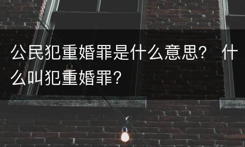 公民犯重婚罪是什么意思？ 什么叫犯重婚罪?