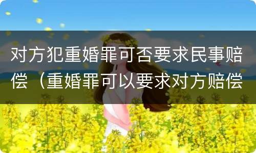 对方犯重婚罪可否要求民事赔偿（重婚罪可以要求对方赔偿吗）