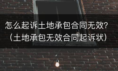 怎么起诉土地承包合同无效？（土地承包无效合同起诉状）