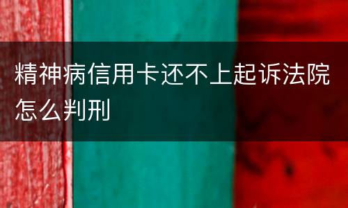 精神病信用卡还不上起诉法院怎么判刑