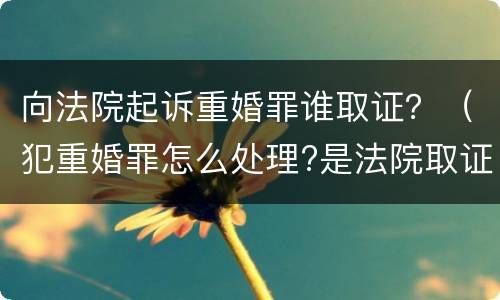 向法院起诉重婚罪谁取证？（犯重婚罪怎么处理?是法院取证吗?）