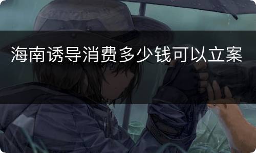 海南诱导消费多少钱可以立案