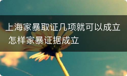 上海家暴取证几项就可以成立 怎样家暴证据成立