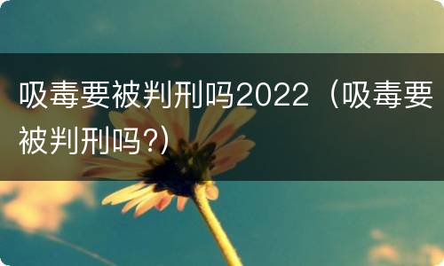 吸毒要被判刑吗2022（吸毒要被判刑吗?）
