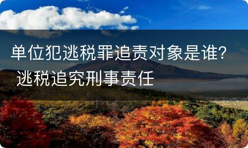 单位犯逃税罪追责对象是谁？ 逃税追究刑事责任