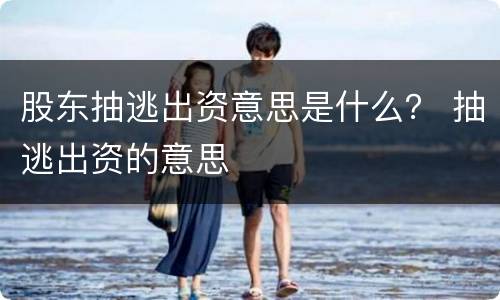 股东抽逃出资意思是什么？ 抽逃出资的意思