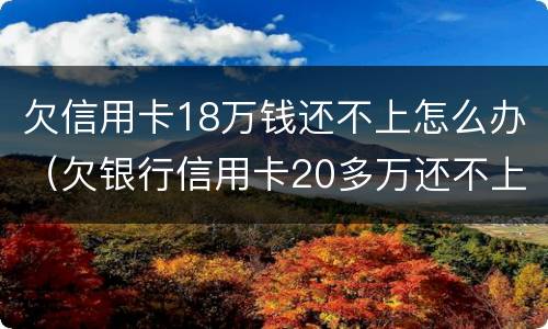 欠信用卡18万钱还不上怎么办（欠银行信用卡20多万还不上咋办）