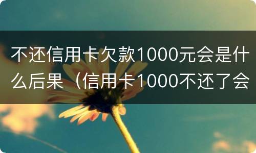 不还信用卡欠款1000元会是什么后果（信用卡1000不还了会有什么后果）