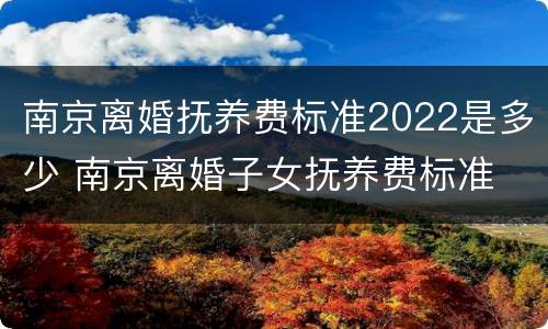 南京离婚抚养费标准2022是多少 南京离婚子女抚养费标准