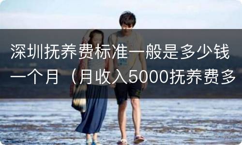 深圳抚养费标准一般是多少钱一个月（月收入5000抚养费多少）