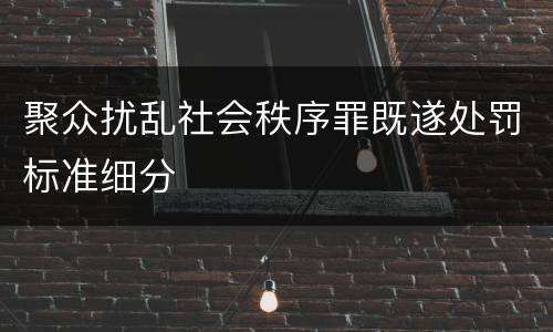 聚众扰乱社会秩序罪既遂处罚标准细分