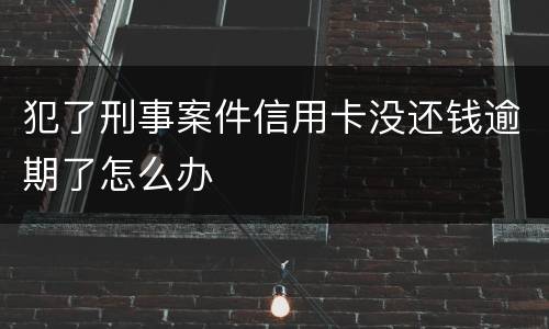 犯了刑事案件信用卡没还钱逾期了怎么办
