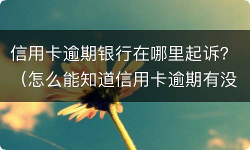 信用卡逾期银行在哪里起诉？（怎么能知道信用卡逾期有没有被起诉）