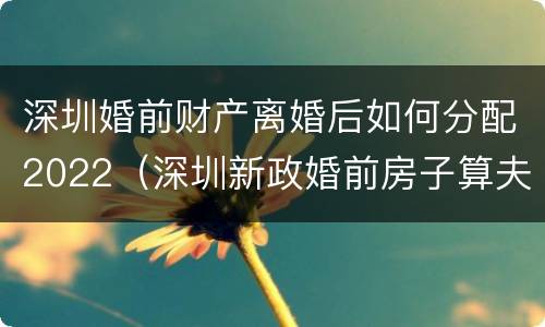 深圳婚前财产离婚后如何分配2022（深圳新政婚前房子算夫妻）