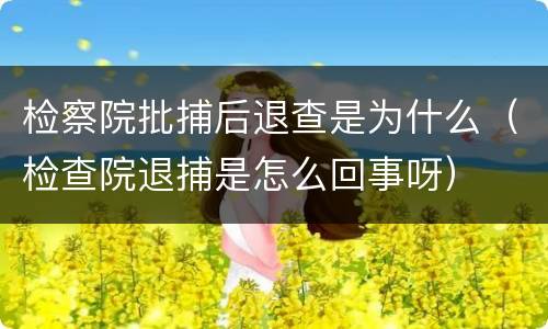 检察院批捕后退查是为什么（检查院退捕是怎么回事呀）