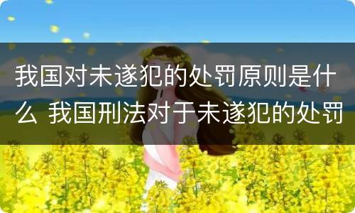 我国对未遂犯的处罚原则是什么 我国刑法对于未遂犯的处罚原则是什么