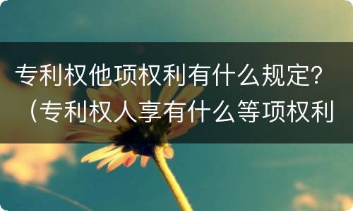 专利权他项权利有什么规定？（专利权人享有什么等项权利）