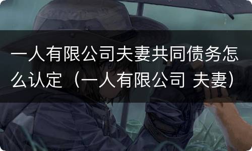 一人有限公司夫妻共同债务怎么认定（一人有限公司 夫妻）