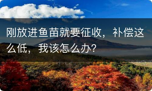 刚放进鱼苗就要征收，补偿这么低，我该怎么办？