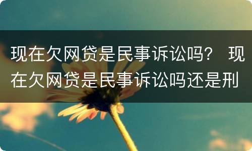 现在欠网贷是民事诉讼吗？ 现在欠网贷是民事诉讼吗还是刑事