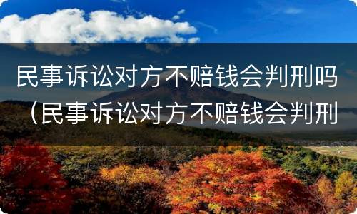 民事诉讼对方不赔钱会判刑吗（民事诉讼对方不赔钱会判刑吗）