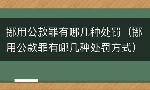 挪用公款罪有哪几种处罚（挪用公款罪有哪几种处罚方式）