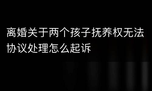 离婚关于两个孩子抚养权无法协议处理怎么起诉
