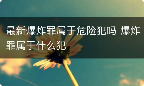 最新爆炸罪属于危险犯吗 爆炸罪属于什么犯
