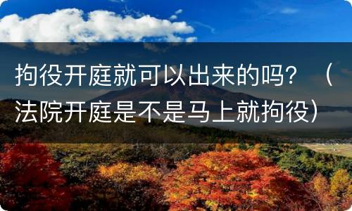 拘役开庭就可以出来的吗？（法院开庭是不是马上就拘役）