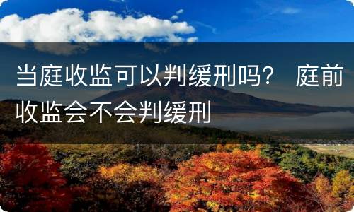 当庭收监可以判缓刑吗？ 庭前收监会不会判缓刑