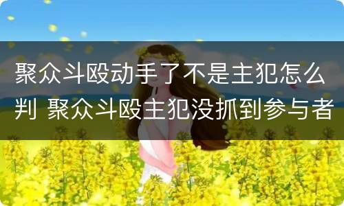 聚众斗殴动手了不是主犯怎么判 聚众斗殴主犯没抓到参与者怎么判