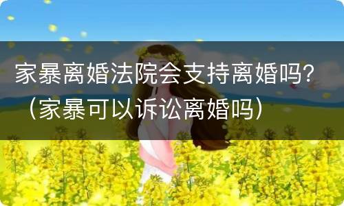 家暴离婚法院会支持离婚吗？（家暴可以诉讼离婚吗）