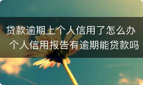 贷款逾期上个人信用了怎么办 个人信用报告有逾期能贷款吗