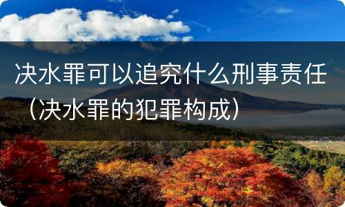 决水罪可以追究什么刑事责任（决水罪的犯罪构成）