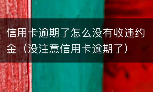 信用卡逾期了怎么没有收违约金（没注意信用卡逾期了）