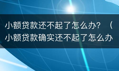 小额贷款还不起了怎么办？（小额贷款确实还不起了怎么办）