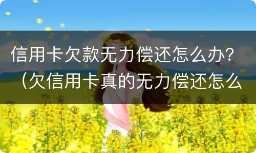 信用卡欠款无力偿还怎么办？（欠信用卡真的无力偿还怎么办）