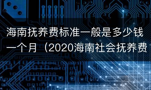 海南抚养费标准一般是多少钱一个月（2020海南社会抚养费多少钱）
