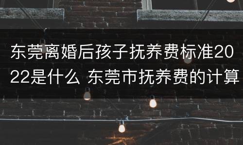 东莞离婚后孩子抚养费标准2022是什么 东莞市抚养费的计算标准