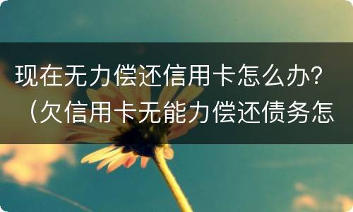 现在无力偿还信用卡怎么办？（欠信用卡无能力偿还债务怎么办）