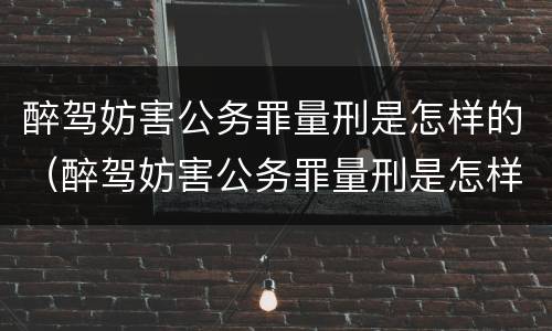 醉驾妨害公务罪量刑是怎样的（醉驾妨害公务罪量刑是怎样的标准）