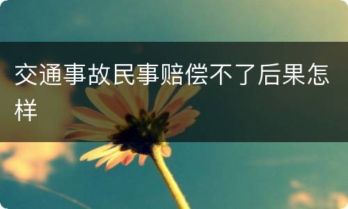 交通事故民事赔偿不了后果怎样