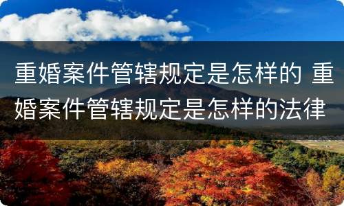 重婚案件管辖规定是怎样的 重婚案件管辖规定是怎样的法律