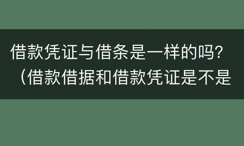 借款凭证与借条是一样的吗？（借款借据和借款凭证是不是一样）